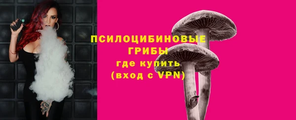 МДПВ Алексин